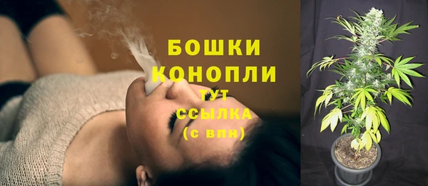 твердый Инта