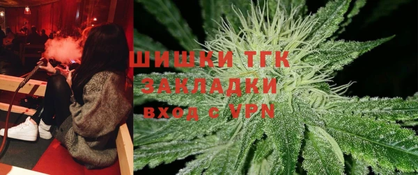 твердый Инта