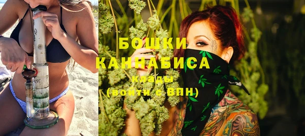 твердый Инта