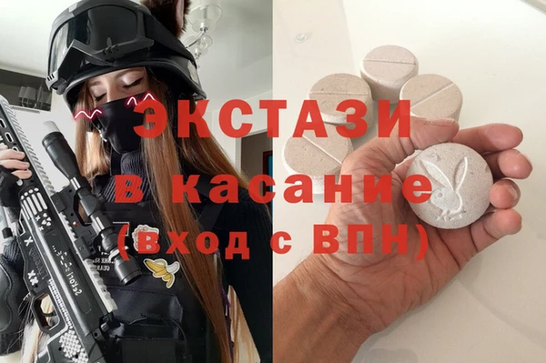 твердый Инта