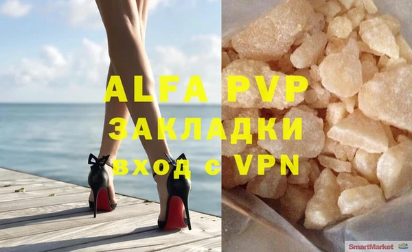 твердый Инта