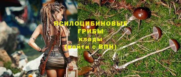 твердый Инта