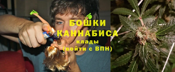 твердый Инта