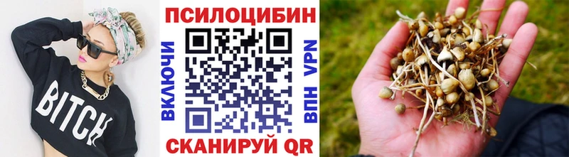 Галлюциногенные грибы прущие грибы  Купить  Ветлуга 